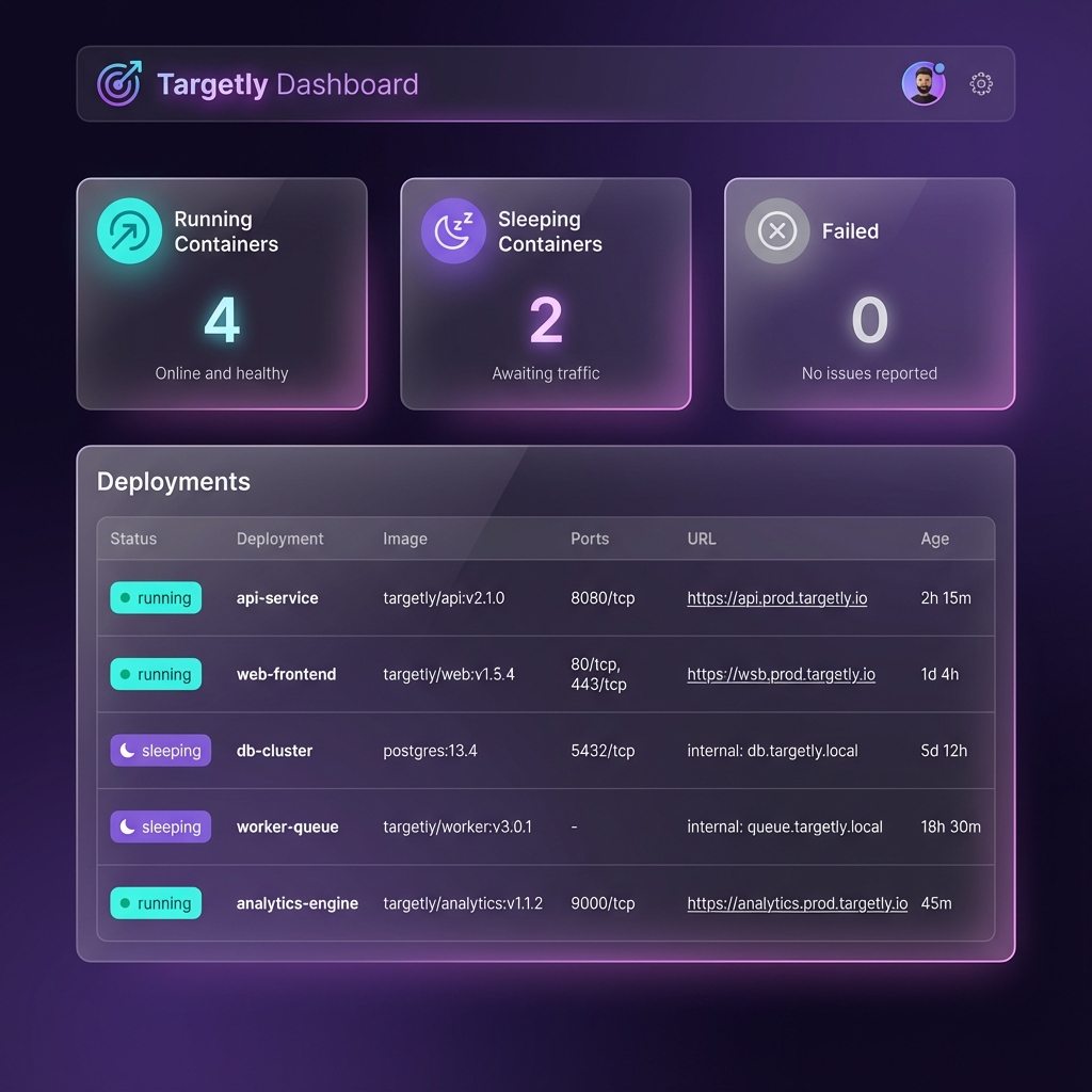 Targetly Dashboard Interface
